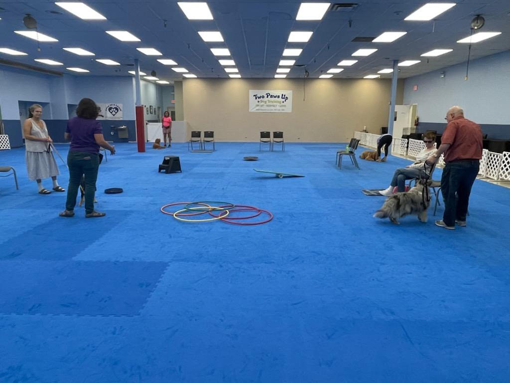 Puppy Training Classes