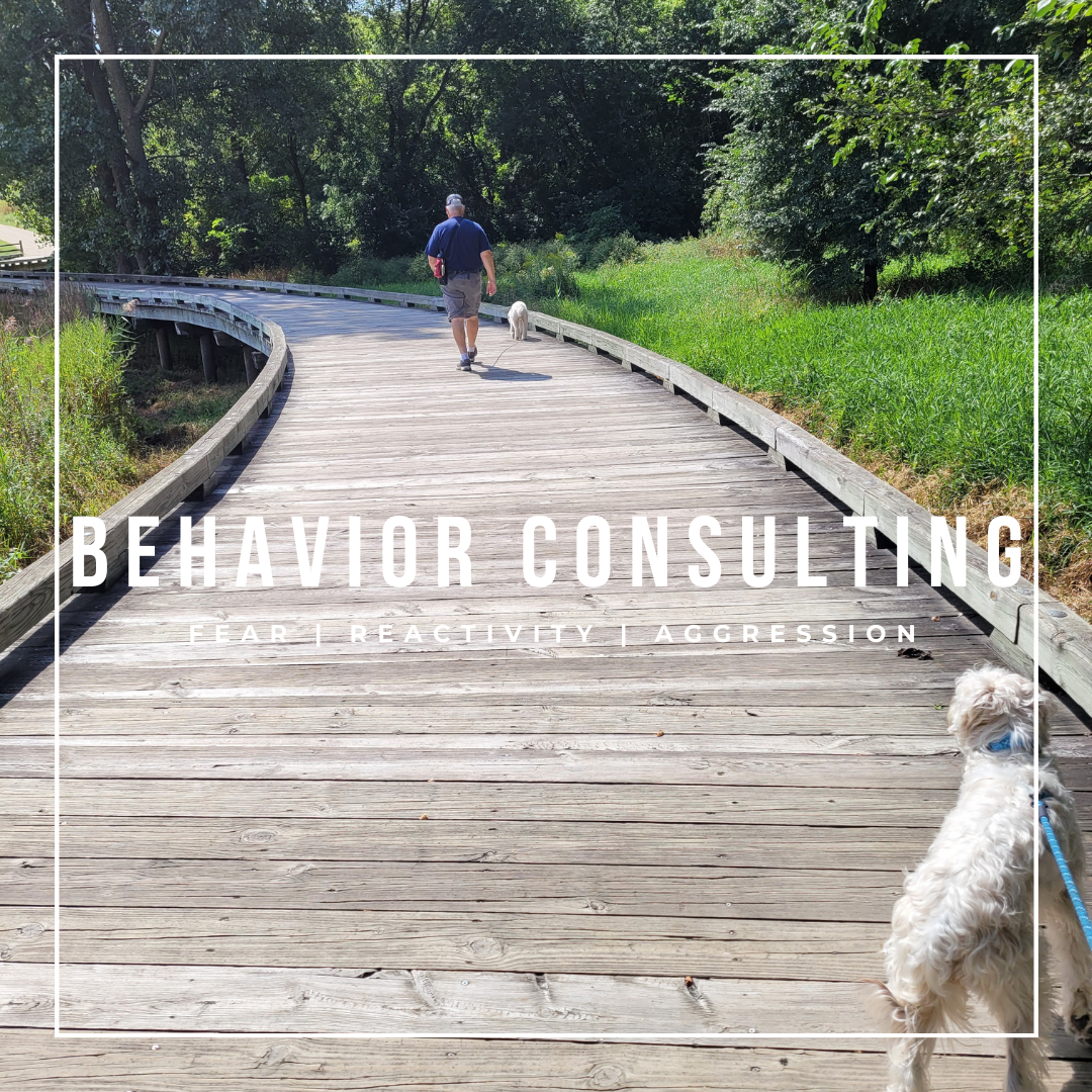 Dog Behavior Consulting - Fearful Dog, Reactive Dog, Aggressive Dog