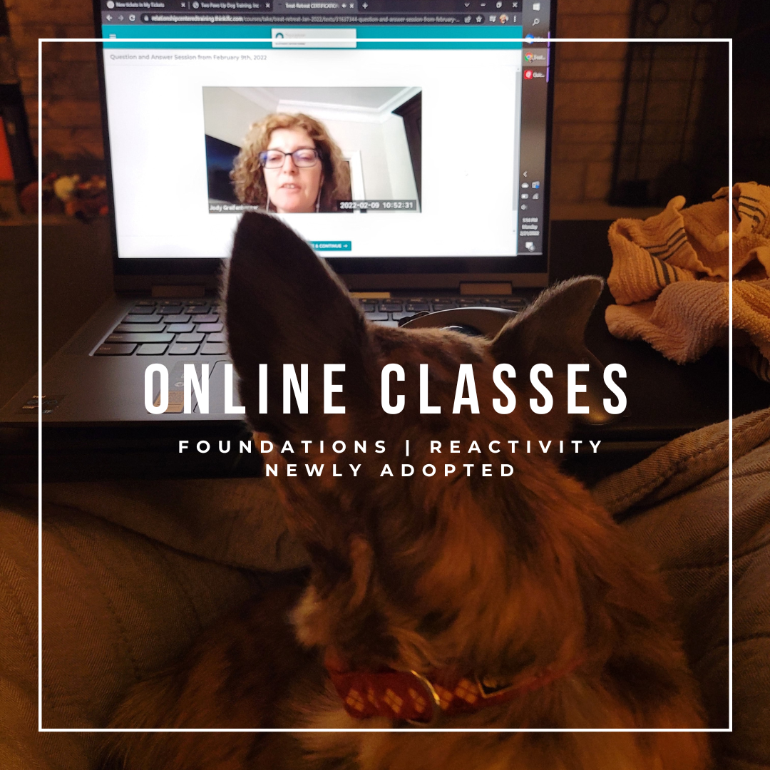 Online Dog Training Classes - Self-paced online Dog Training