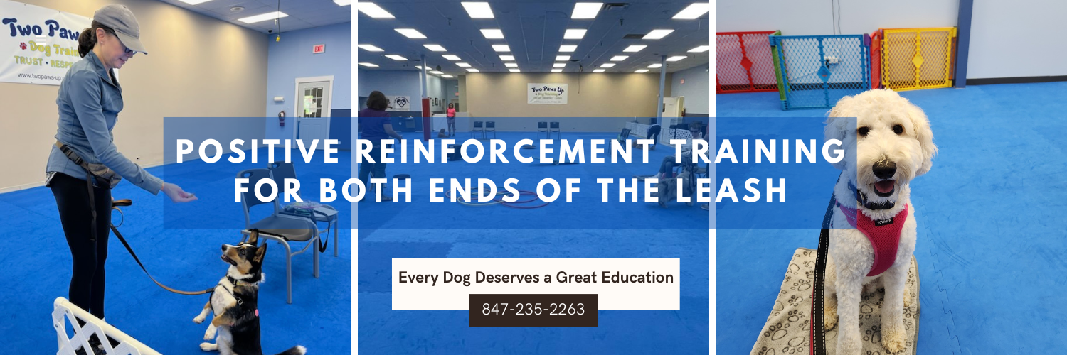 Positive Reinforcement Training for both ends of the leash - Every dog deserves a great education